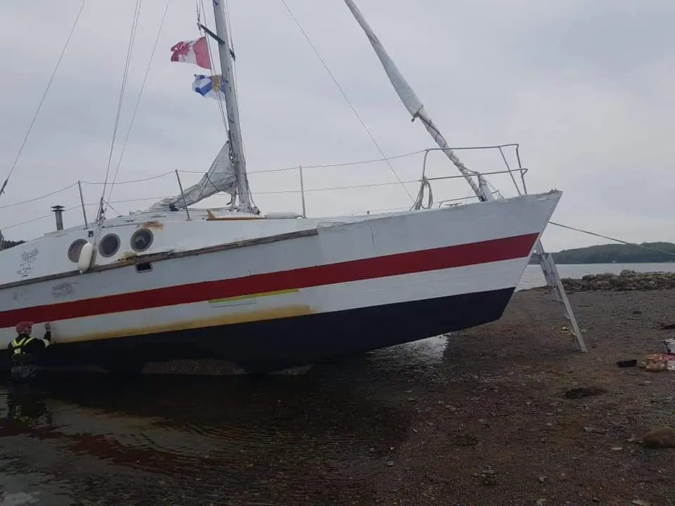 Catamaran hull after careening: clean hull with fresh waterborne antifoul applied
